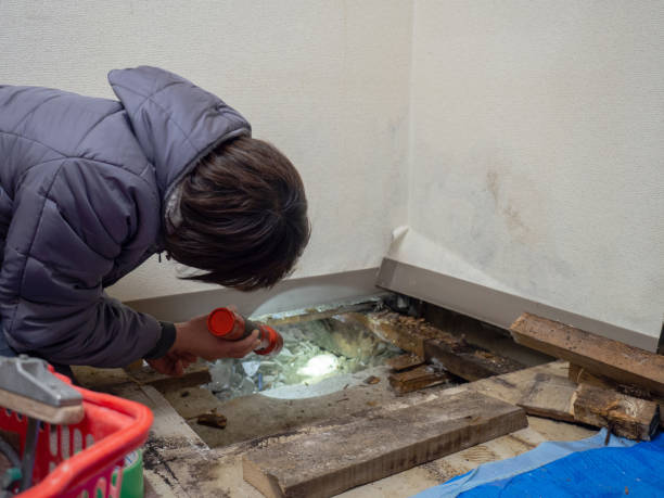 Mold Remediation for Rental Properties in Brier, WA