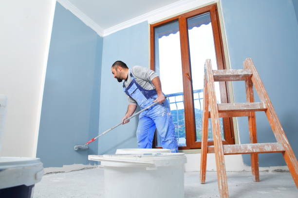 Best Black Mold Removal  in Brier, WA